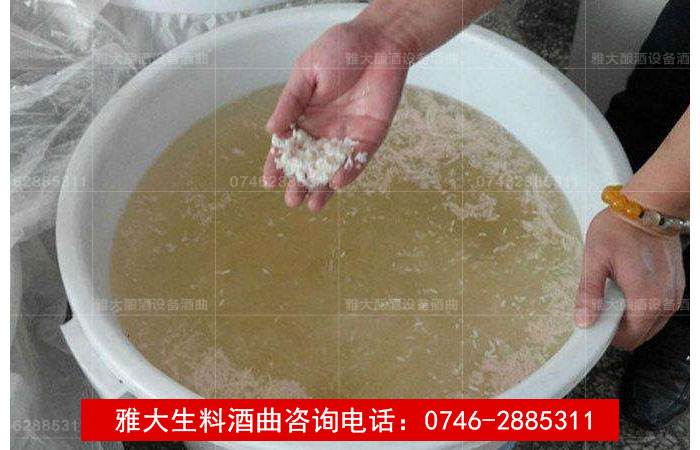 【釀酒技術(shù)】生料釀酒注意事項答疑