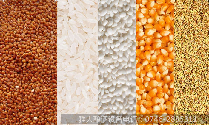純糧無糠殼固態清純小酒的釀造工藝——原料