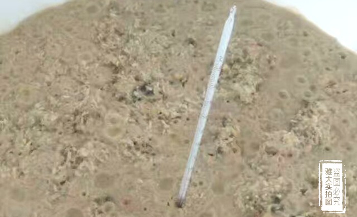 【釀酒技術】發酵期間溫度控制