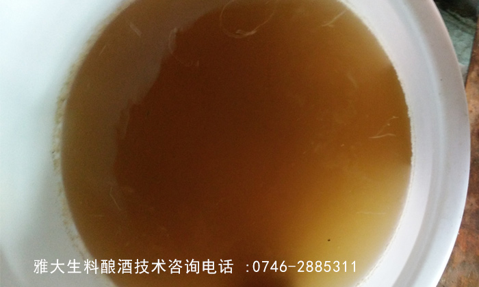 【雅大蒸酒設備釀酒教學】玉米生料液態釀酒技術