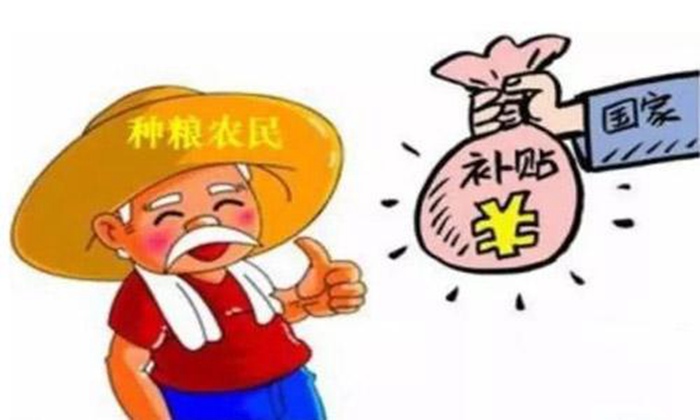 【白酒生產設備】主糧的保護價收購需貫徹