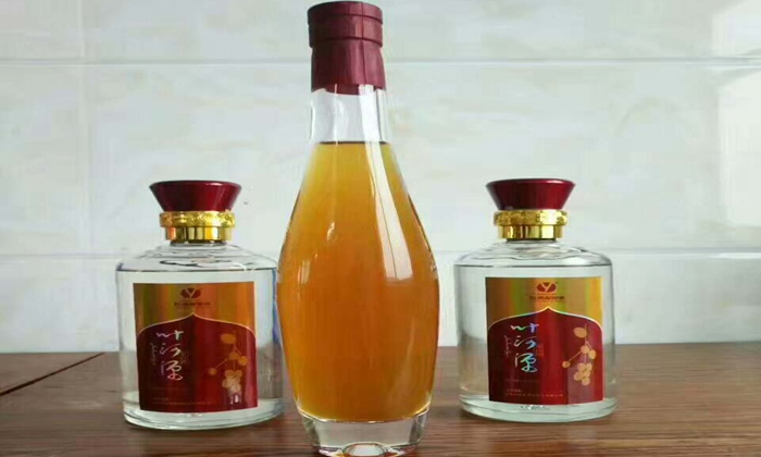 「特色酒教學」紅棗酒