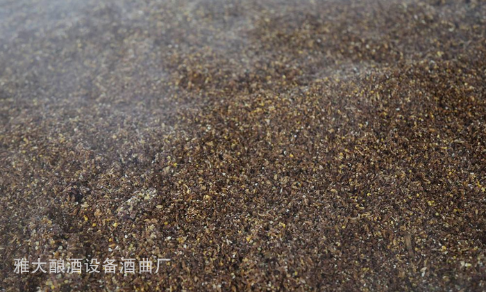 酒糟喂羊固態酒糟好還是液態酒糟好？