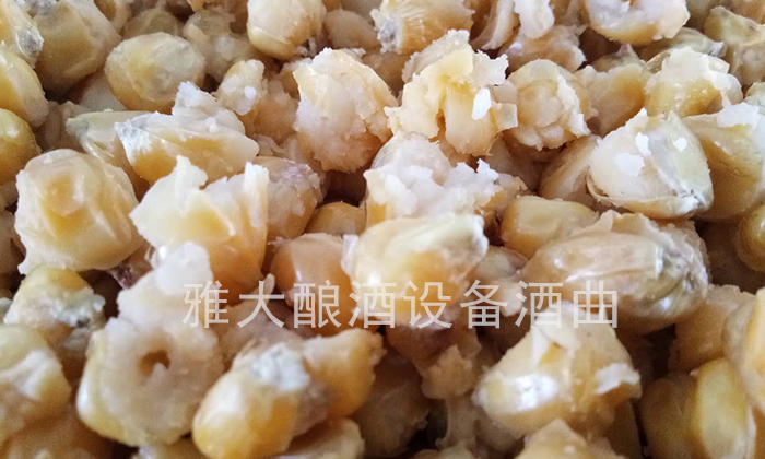 用雅大燒酒設(shè)備蒸糧，加燜水應(yīng)該從甑底加還是上面加？