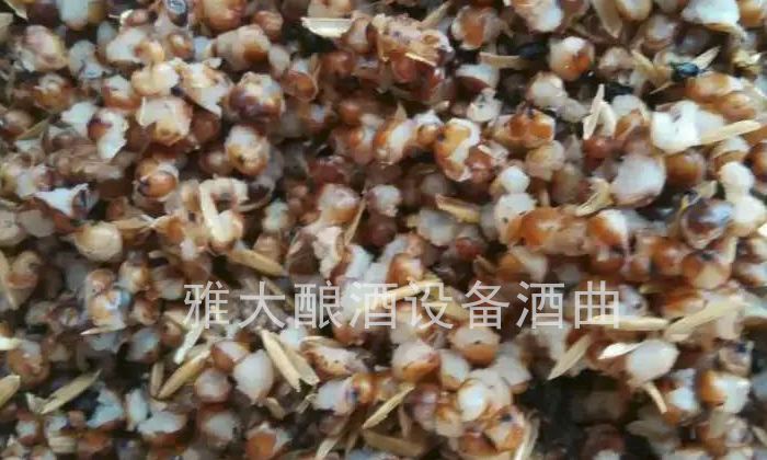 8點解決固態白酒設備蒸糧大問題