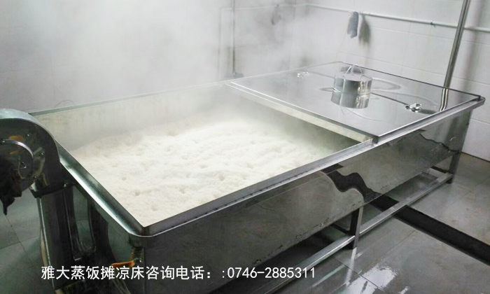 「蒸酒設備」大米熟料發酵—用雅大蒸飯攤涼一體鍋蒸飯
