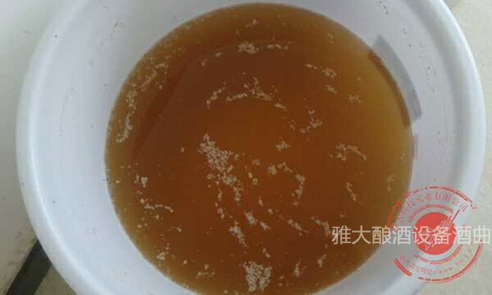 「蒸酒設備」大米生料發酵完成，酒醅成茶色