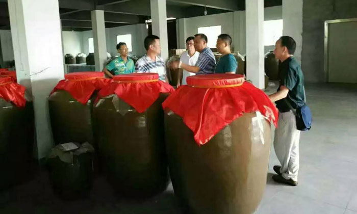 陪父親來雅大酒業考察釀酒設備