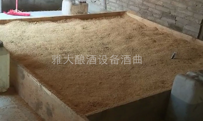 傳統烤酒設備釀玉米酒——培菌糖化