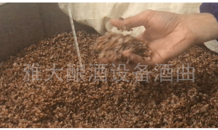 傳統固態釀酒|低溫蒸煮、低溫糖化發酵