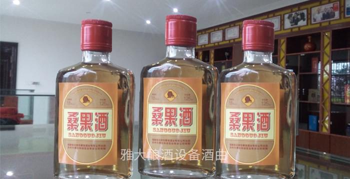 是什么讓雅大白酒生產設備學員小王走上桑果酒的釀造之路？
