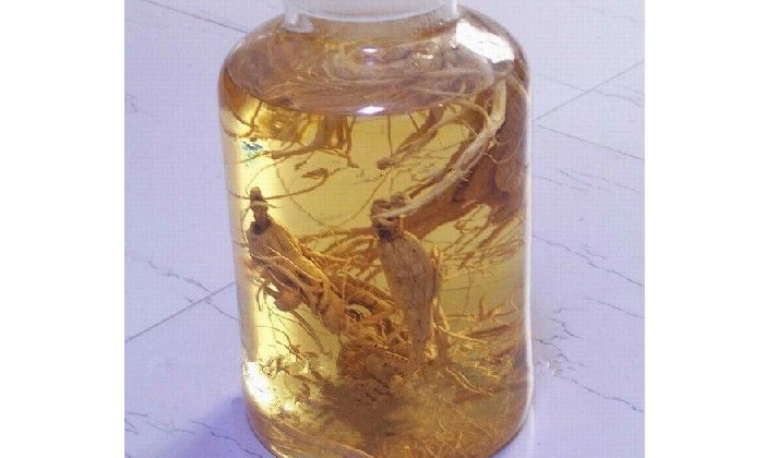 「釀酒設備」金銀花能釀酒嗎？