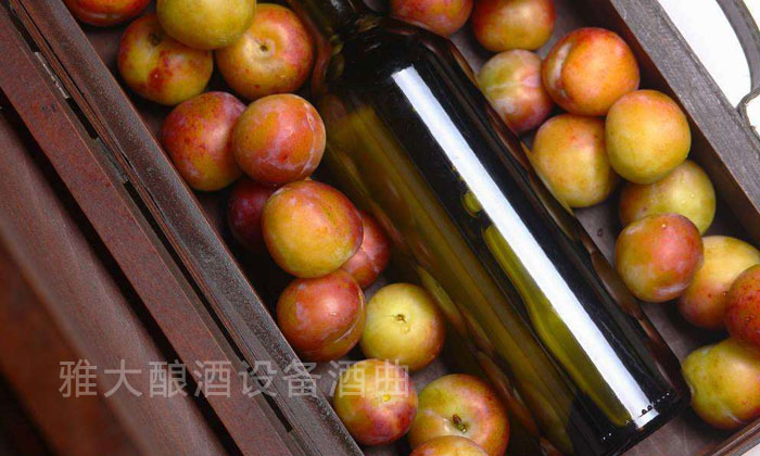 李子釀酒—雅大白酒設備