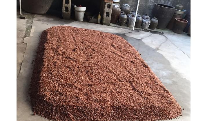 釀酒設備廠家-高粱糖化