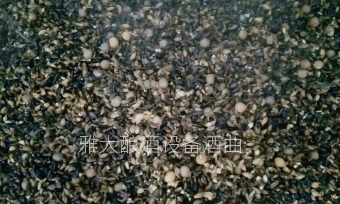 3-用雅大釀酒設備制作液態黑大麥白酒的釀造方法0