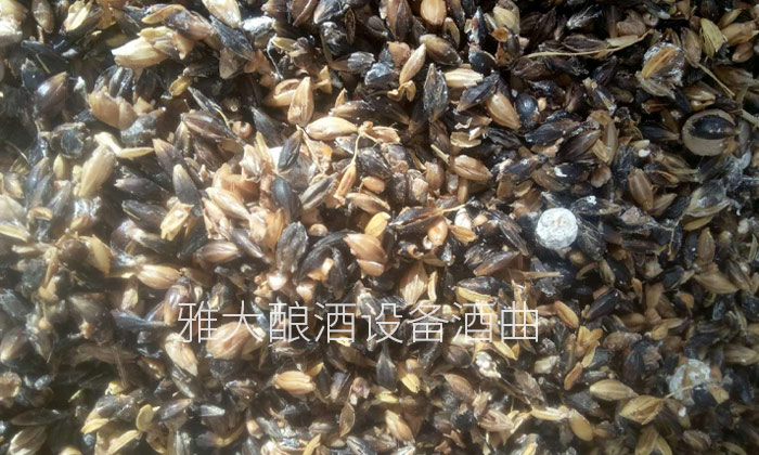 3-用雅大釀酒設備制作液態黑大麥白酒的釀造方法1