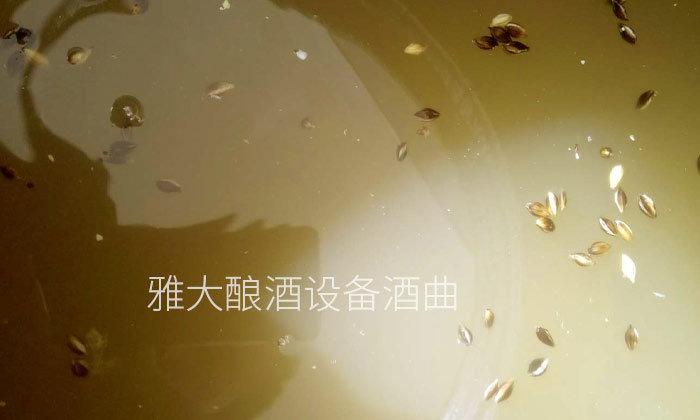 3-用雅大釀酒設備制作液態黑大麥白酒的釀造方法4