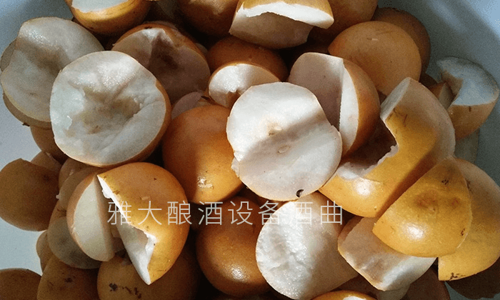 雅大釀酒設備 雅大酒業(yè) 水果酒曲 純糧釀酒設備