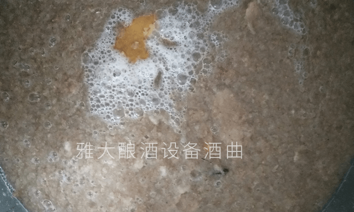 雅大釀酒設備 雅大酒業(yè) 水果酒曲 純糧釀酒設備