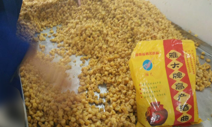 夏季釀酒是什么導致酒廠釀酒設備的酒減少？10分鐘解決4