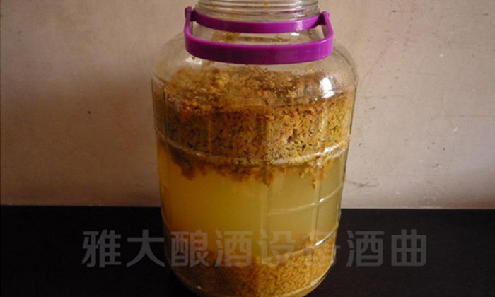 釀酒老師傅告訴你，怎樣在家用白酒生產設備做海棠果酒04