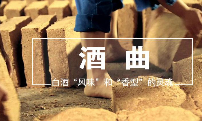 喝酒是否上頭口干，跟酒曲的好壞有直接關系嗎？03