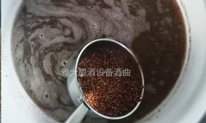 9.8用釀白酒設備制作無糠殼高粱釀酒技術-泡糧