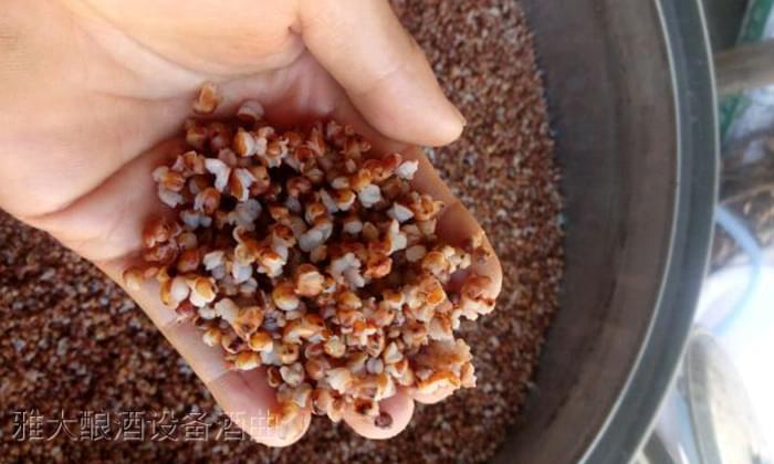 9.8用釀白酒設備制作無糠殼高粱釀酒技術-蒸紅高粱