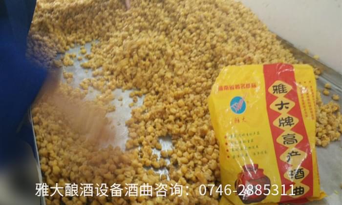 想回家用酒廠釀酒設(shè)備開個(gè)小酒坊，多長時(shí)間可以回本？02 有電話