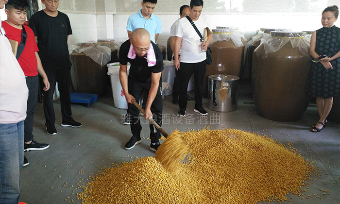 4步教您用糧食釀酒設備做固態玉米酒,純實操!-05 4步教您用糧食釀酒設備做固態玉米酒,純實操!-05