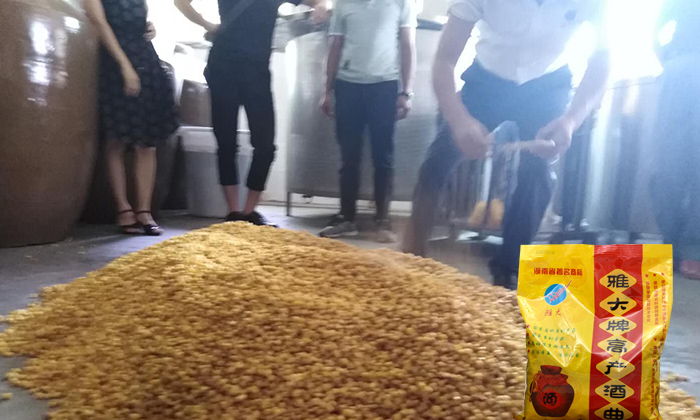 4步教您用糧食釀酒設備做固態玉米酒,純實操!-06 4步教您用糧食釀酒設備做固態玉米酒,純實操!-06