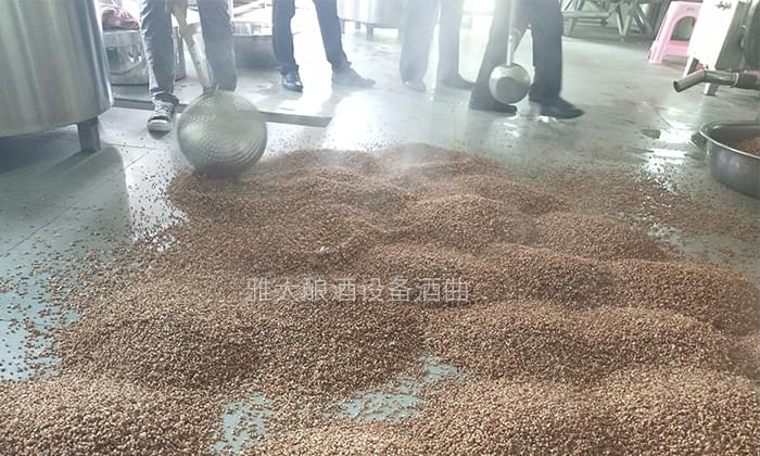 大手筆！雅大電加熱釀酒設備廠準備2萬斤高粱等您來實操釀酒-04