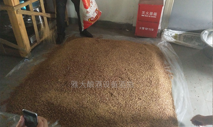 大手筆！雅大電加熱釀酒設備廠準備2萬斤高粱等您來實操釀酒-06