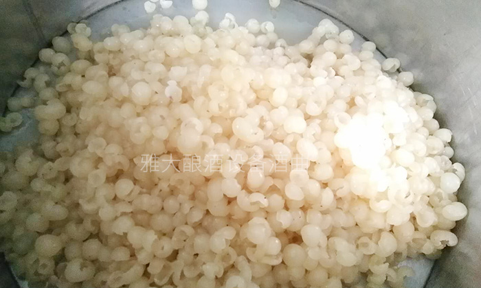 純實操！雅大大型釀酒設備釀酒師教泰國華裔制作龍眼酒-04