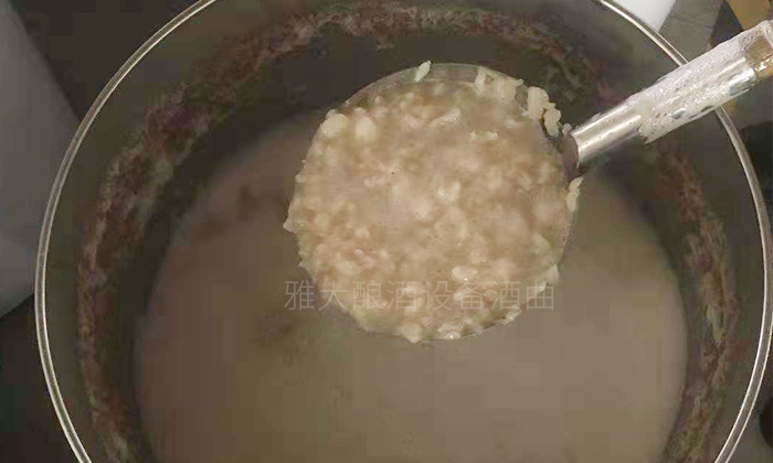 純實操！雅大大型釀酒設備釀酒師教泰國華裔制作龍眼酒-06