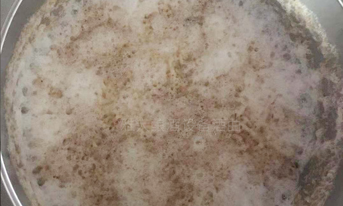 純實操！雅大大型釀酒設備釀酒師教泰國華裔制作龍眼酒-07