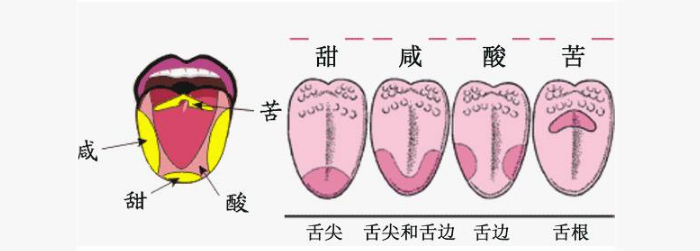 糧食釀酒設(shè)備—白酒勾調(diào)品評(píng)常見問(wèn)題答疑-02