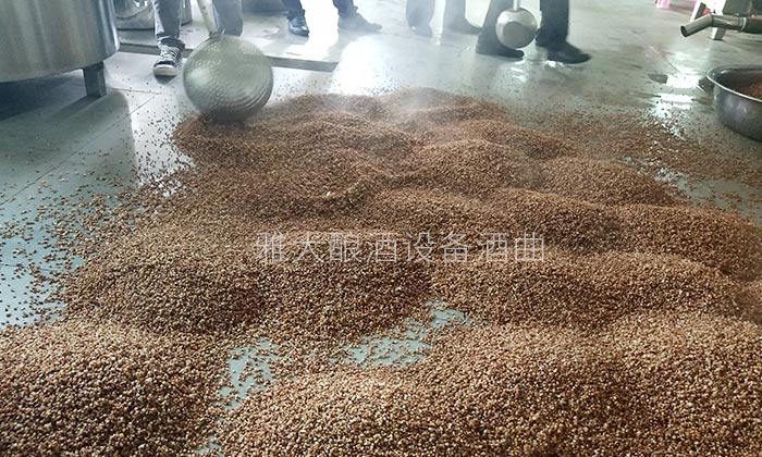 擁有10多套房產(chǎn)的包租婆,為何選擇用糧食釀酒設(shè)備做酒?-04 擁有10多套房產(chǎn)的包租婆,為何選擇用糧食釀酒設(shè)備做酒?-04