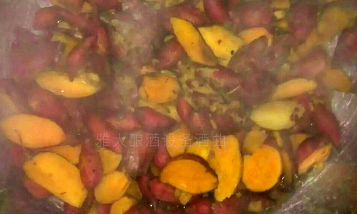 一般的糧食釀酒設備可以用來做紅薯酒嗎?-01-紅薯釀酒 一般的糧食釀酒設備可以用來做紅薯酒嗎?-01-紅薯釀酒
