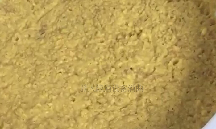 大型釀酒設(shè)備怎樣做出好喝的紅薯酒?紅薯釀酒方法!-06-紅薯釀酒發(fā)酵 大型釀酒設(shè)備怎樣做出好喝的紅薯酒?紅薯釀酒方法!-06-紅薯釀酒發(fā)酵
