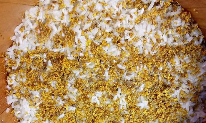 大型釀酒設備制作桂花糯米甜酒釀的方法，用干桂花也可以做！-04