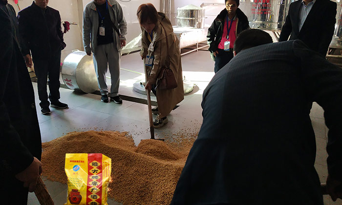 「釀酒教學」7步教您用專業釀酒設備做固態小麥酒,純實操!-04-小麥釀酒加入雅大高產酒曲 「釀酒教學」7步教您用專業釀酒設備做固態小麥酒,純實操!-04-小麥釀酒加入雅大高產酒曲
