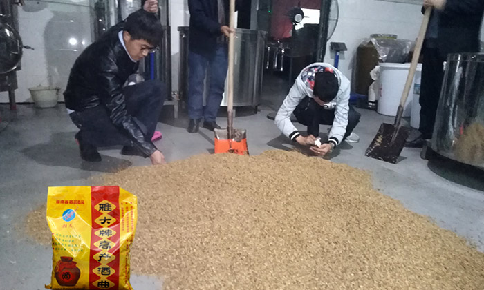 雅大邀您到酒廠用白酒蒸酒設(shè)備實(shí)操釀青稞酒,青稞酒實(shí)操教學(xué)!-05-青稞釀酒-酒曲 雅大邀您到酒廠用白酒蒸酒設(shè)備實(shí)操釀青稞酒,青稞酒實(shí)操教學(xué)!-05-青稞釀酒-酒曲