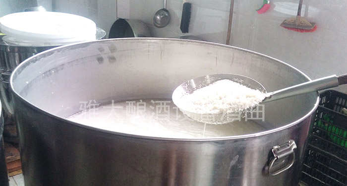 用小型酒廠設備制作的甜酒釀不甜怎么辦？冬季做甜酒釀注意事項-03-浸米