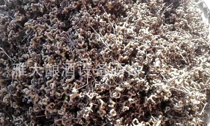 民間用小型白酒釀酒設備釀了40年的拐棗釀酒經驗,步驟都告訴你!-03 民間用小型白酒釀酒設備釀了40年的拐棗釀酒經驗,步驟都告訴你!-03