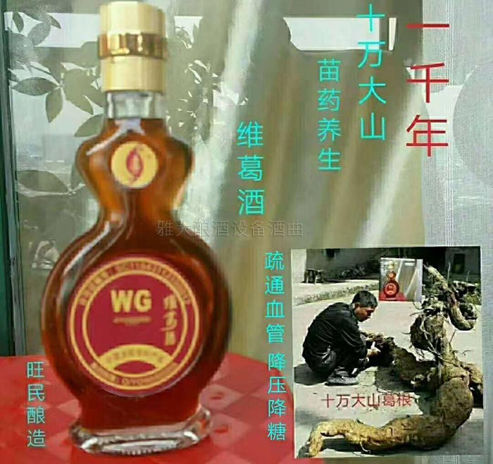 楊醫生用釀酒新設備做保健酒4年，維葛酒熱銷全國的秘密！-09葛根酒