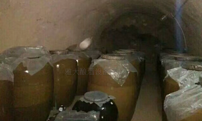 50歲高阿姨借助不銹鋼釀酒設備，帶領當地百姓發家致富-09
