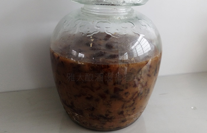 紅棗酒怎么做？用小型酒廠釀酒設備制作紅棗酒方法-04-紅棗酒釀酒-發酵