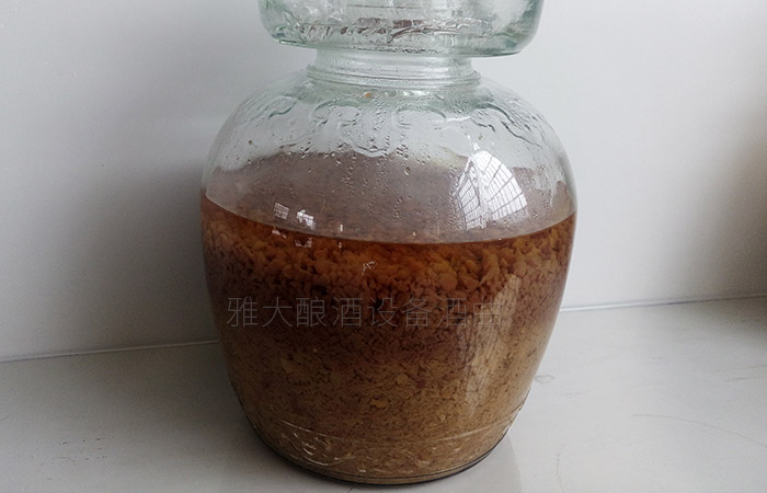 紅棗酒怎么做？用小型酒廠釀酒設備制作紅棗酒方法-05-紅棗酒釀酒-發酵后期