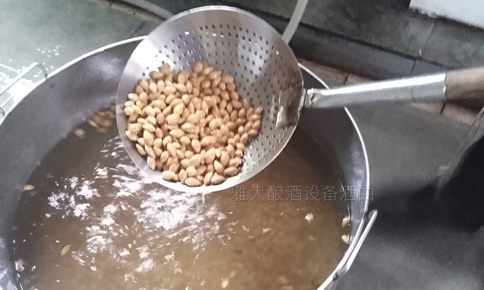 銀杏果酒怎么做？20年釀酒經驗的新工藝釀酒設備廠手把手教您做！-03